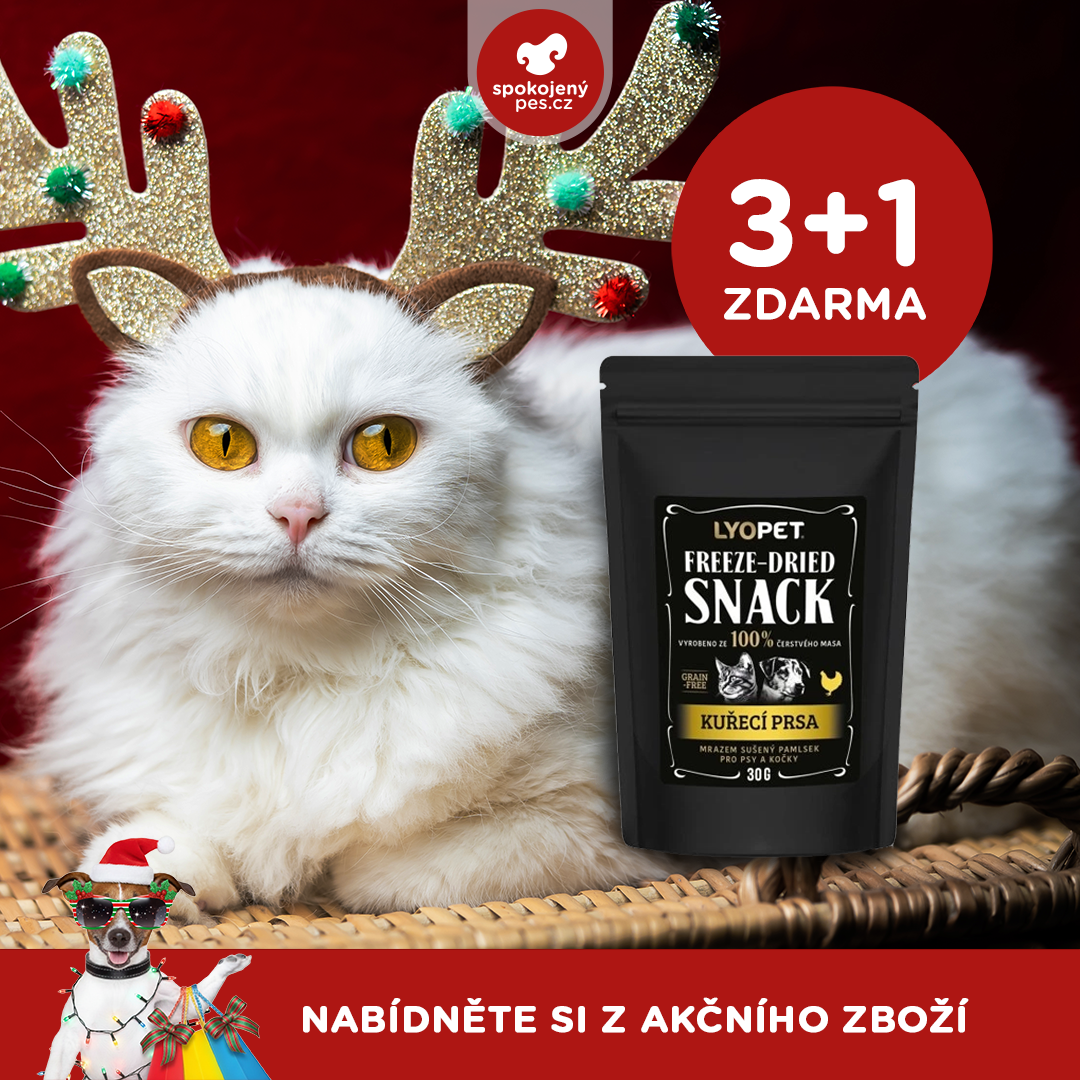 akční prosinec_kočka3.png